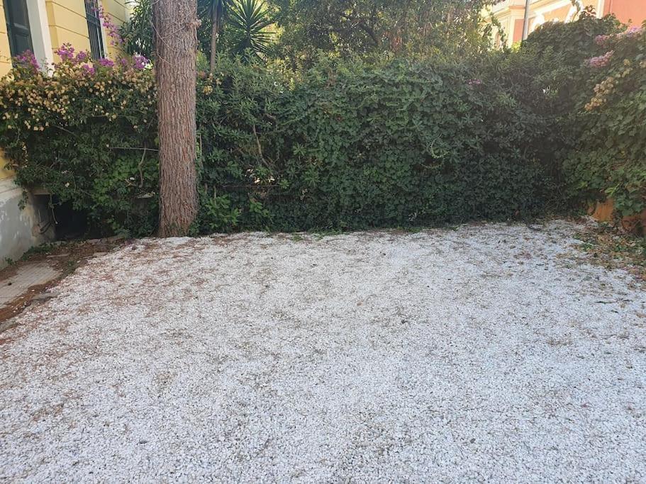 Suite La Marinella Localita Caccia Riserva Santa Marinella Dış mekan fotoğraf